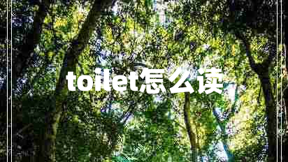 toilet怎么读