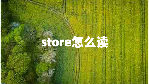 store怎么读