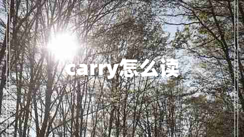 carry怎么读