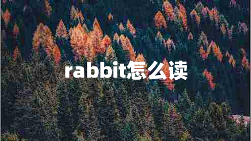 rabbit怎么读