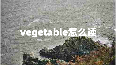 vegetable怎么读