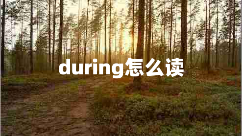 during怎么读