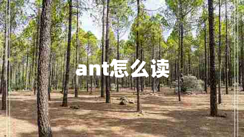 ant怎么读