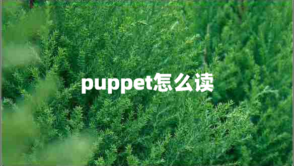 puppet怎么读