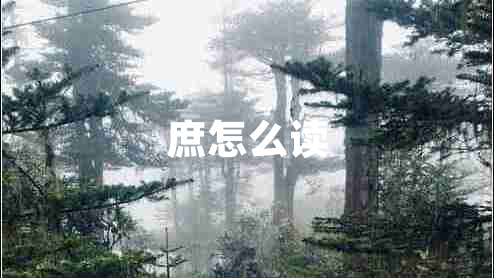 庶怎么读
