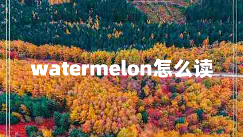 watermelon怎么读