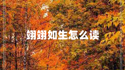 翊翊如生怎么读