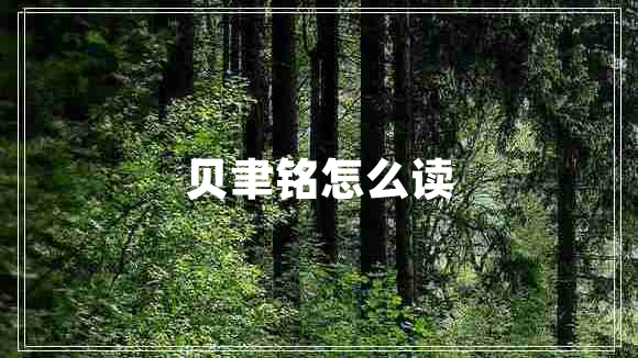 贝聿铭怎么读