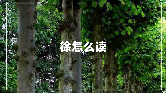 徐怎么读
