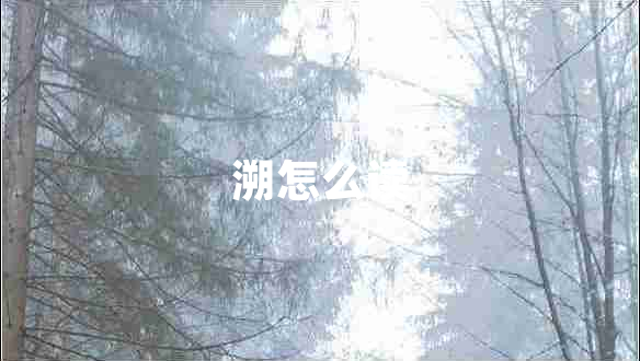溯怎么读