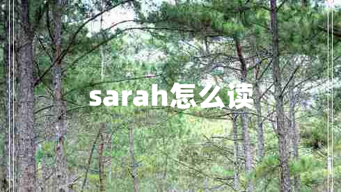 sarah怎么读