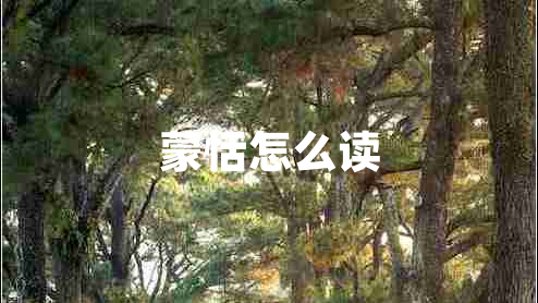 蒙恬怎么读