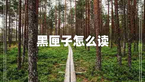 黑匣子怎么读