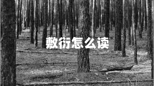 敷衍怎么读