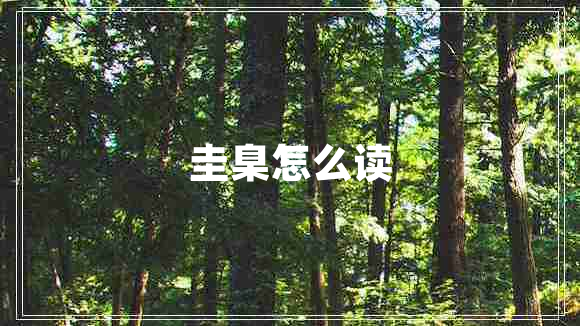 圭臬怎么读