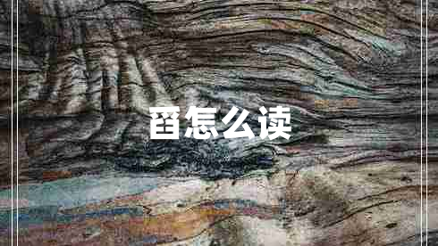 舀怎么读