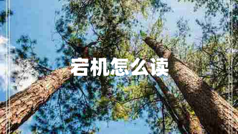 宕机怎么读