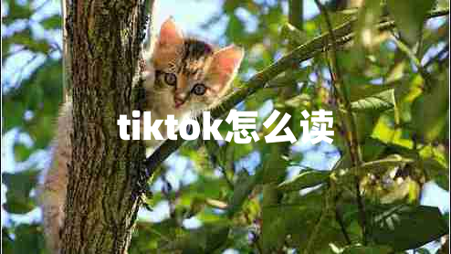 tiktok怎么读