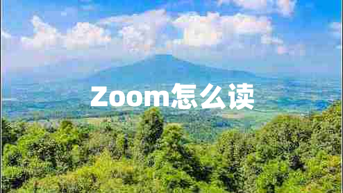 Zoom怎么读