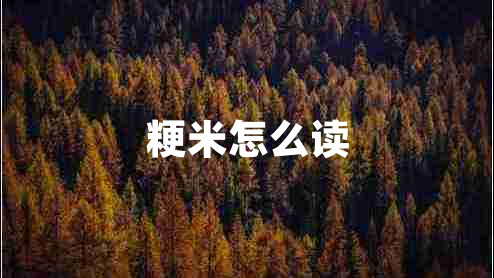 粳米怎么读