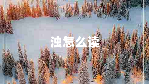浊怎么读