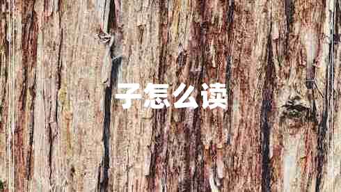 子怎么读