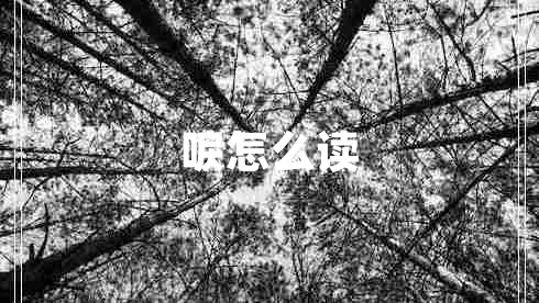 唳怎么读