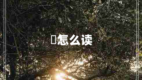 琹怎么读