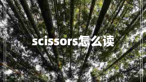 scissors怎么读