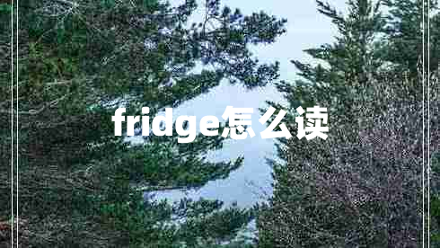 fridge怎么读