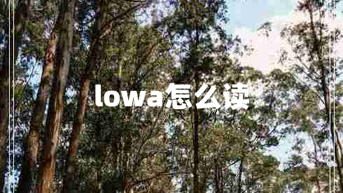 lowa怎么读