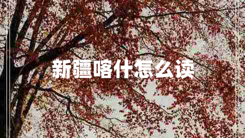 新疆喀什怎么读