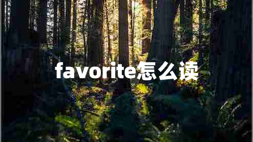 favorite怎么读