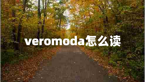 veromoda怎么读