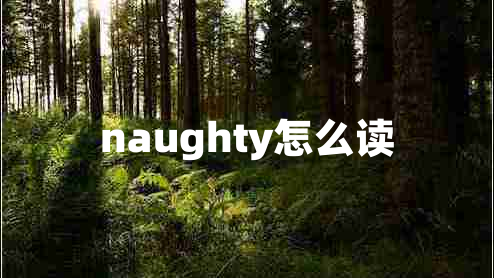 naughty怎么读