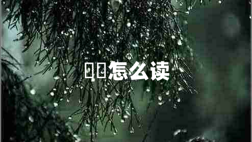 湜祎怎么读