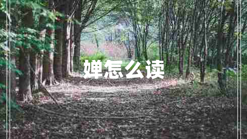 婵怎么读