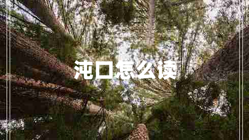 沌口怎么读