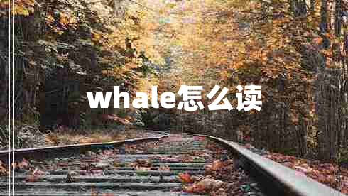 whale怎么读