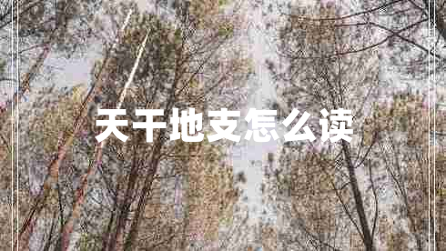 天干地支怎么读