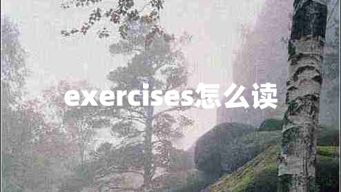 exercises怎么读