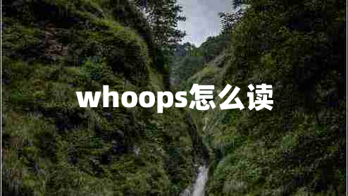 whoops怎么读