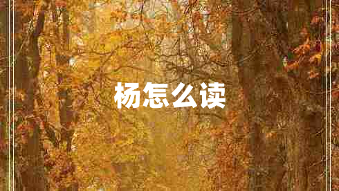 杨怎么读