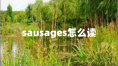 sausages怎么读