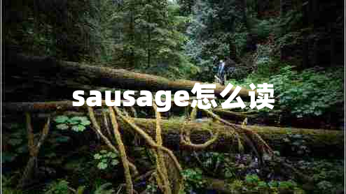 sausage怎么读