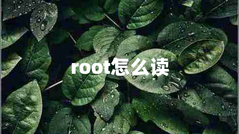 root怎么读