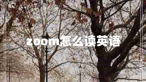 zoom怎么读英语