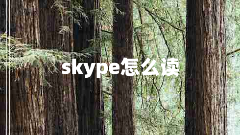 skype怎么读