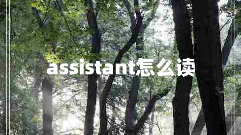 assistant怎么读