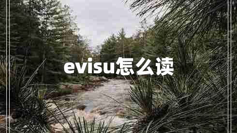 evisu怎么读